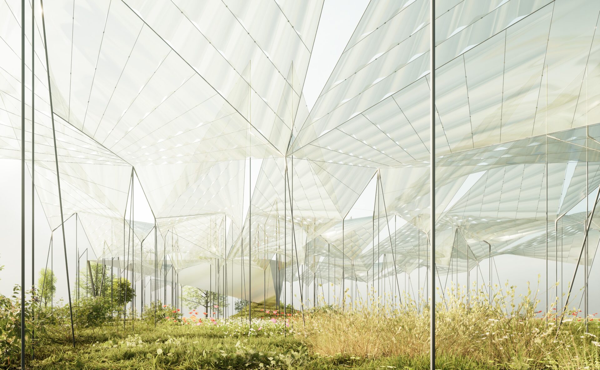 Canopy for a garden, Mannheim